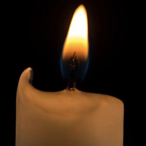 В зоне СВО погибли Василий Плотников и Сергей Числов из Камешковского района