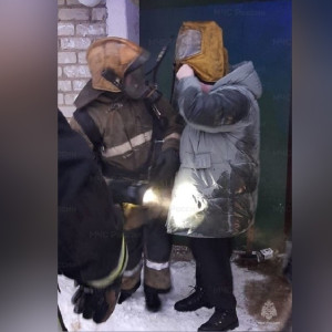 Следком начал проверку после смертельного пожара под Александровом