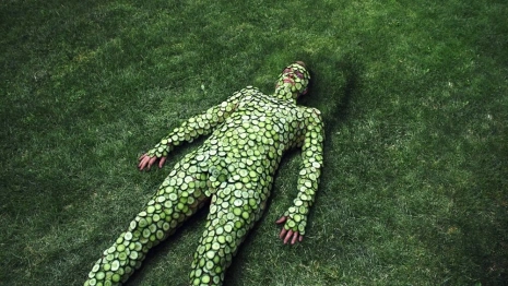 От Дня Огурца до фестиваля уличного кино. Как провести выходные во Владимире и области