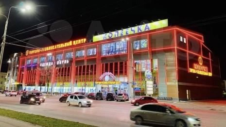 Во Владимире на продажу за 455 млн рублей выставили ТЦ «Копеечка»