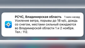 МЧС предупредило жителей Владимирской области о мощном урагане и мокром снеге