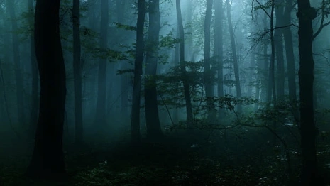 Пропавшего 5 дней назад жителя Владимира нашли мертвым