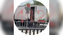 Львы напали на человека во владимирском цирке у «Мегаторга»