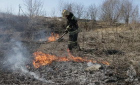 В Юрьев-Польском районе поймали 11-летнего поджигателя травы
