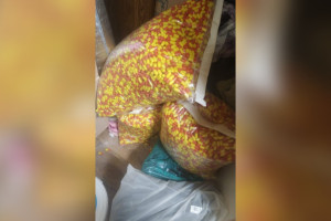 Владимирские таможенники задержали грузовик с 20 кг запрещенных веществ