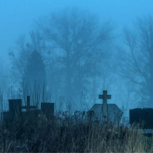 Во владимирском селе на частной земле устроили кладбище