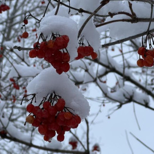 Прогноз погоды во Владимирской области на 28 января 2026 года