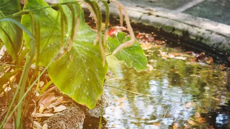 Деревню под Собинкой затопило сточными водами из-за старых очистных сооружений