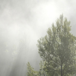 Прогноз погоды во Владимирской области на 12 июля