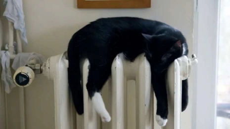 В Октябрьском районе во Владимире ночью отключат отопление