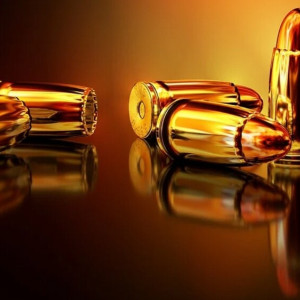 Во Владимирской области мужчину осудили за изготовление оружия