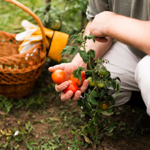Во Владимире 90% дачников «Полета» съехали из-за реконструкции аэропорта Семязино