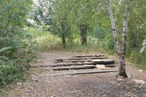 На обновление садов у ДТЮ во Владимире потратят 800 млн рублей