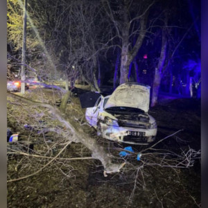 Во Владимирской области иномарка врезалась в бордюр и улетела в дерево