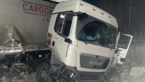 На М-7 под Петушками фура влетела в опору ЛЭП