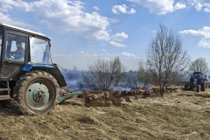 В селе под Гороховцом загоревшаяся трава едва не уничтожила населенный пункт