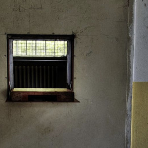 Обвиняемый в махинациях на 11 млн владимирский бизнесмен встретит Новый год в СИЗО