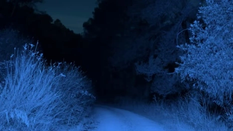 Пропавшего в Муроме 73-летнего мужчину нашли мертвым