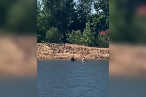 Житель Коврова спас тонущего человека на озере Старка