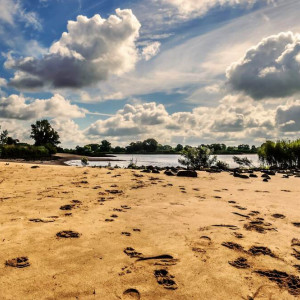 МЧС показало обновленный список разрешенных пляжей во Владимирской области