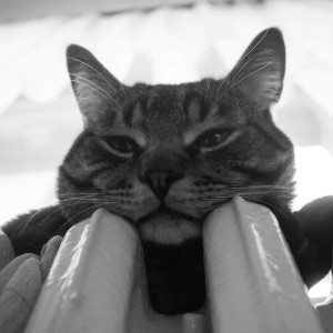 В Коврове со 2 октября начнется отопительный сезон