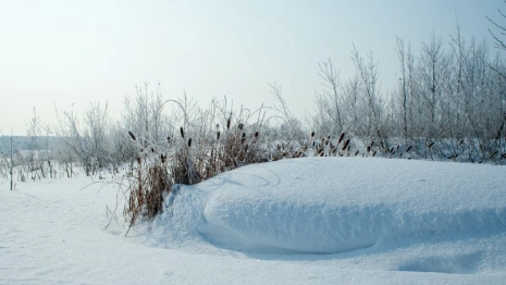 Владимирскую область завалит снегом