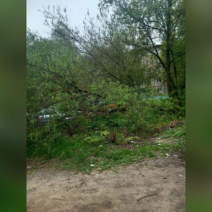 Жители Владимира пожаловались на состояние остановки на Балакирева
