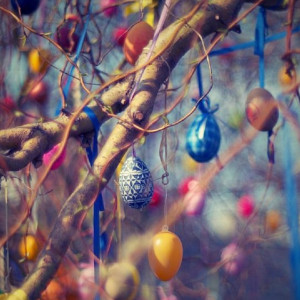 Во Владимире украшение пасхального дерева 30 тысячами яиц привело к скандалу 