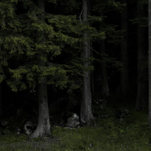 Пропавшего в Камешковском районе 66-летнего мужчину в резиновых сапогах нашли мертвым