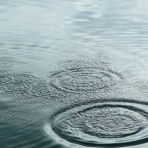 В Собинке утонул 6-летний ребенок