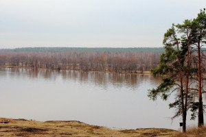 Клязьма во Владимирской области поднялась на 32 см