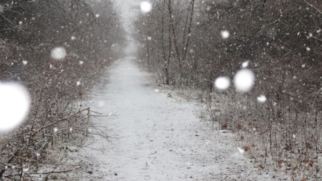 Владимирцев предупредили о ледяном апокалипсисе