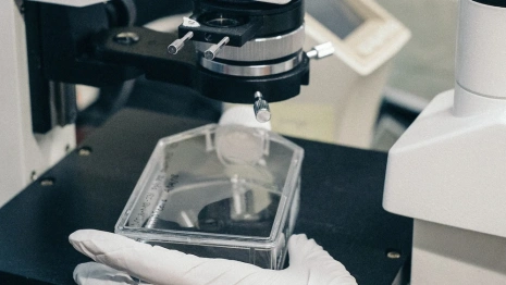 В блюдах прославившейся массовым отравлении пиццерии в Коврове нашли кишечную палочку