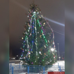 Елку в Добросельском парке показали на фото