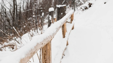 Причиной циклонов Ваня и Ольга во Владимирской области стало глобальное потепление