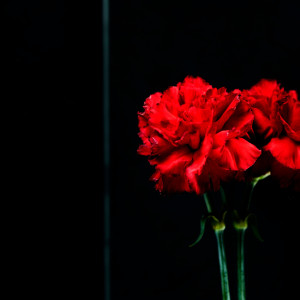 Потери года. Кто из известных владимирцев умер в 2023 году