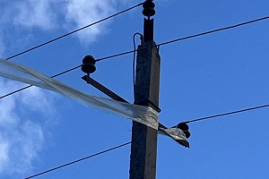 Ветер во Владимирской области усилился до 21 м/с