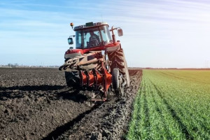 В Меленках сельхозработников заставили трудиться во вредных условиях