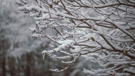 Прогноз погоды во Владимирской области на 3 января