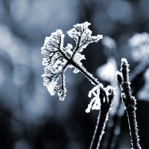 Владимирские спасатели предупредили об аномально холодном вторнике