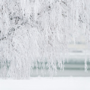 Прогноз погоды во Владимирской области на 14 марта