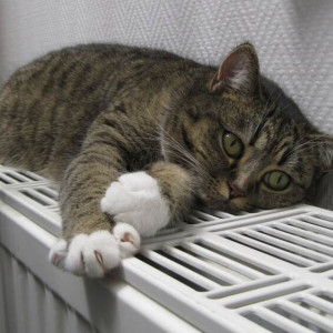 Мэр назвал дату старта отопительного сезона во Владимире