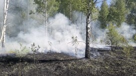 Во Владимире за заводом Valfex загорелась трава