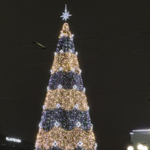 Во Владимире поставили новогоднюю ель у облсуда