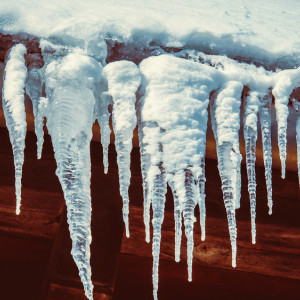 Павел Капельник: что можно и нельзя делать 20 марта