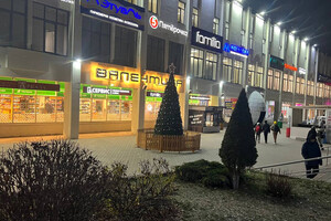 Во Владимире появились первые новогодние елки