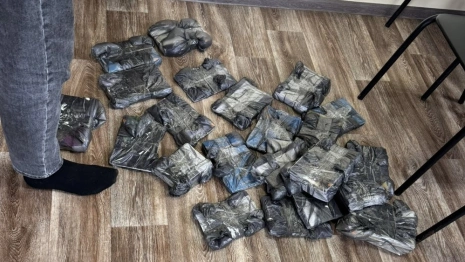 В Гусь-Хрустальном силовики изъяли у сектантов 200 запрещенных книг