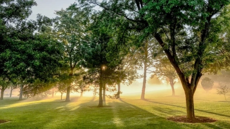 Проект возможной застройки парка «Дружба» во Владимире «завис» до осени