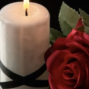 В зоне СВО погибли двое жителей Гусь-Хрустального