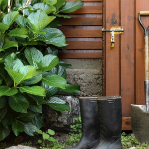 Председатель СНТ из Петушков получил реальный срок за присвоение 2 млн рублей